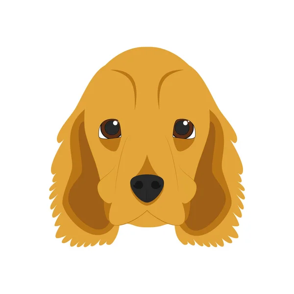 Cocker Spaniel angielski pies na białym tle na białe tło wektor ilustracja — Wektor stockowy