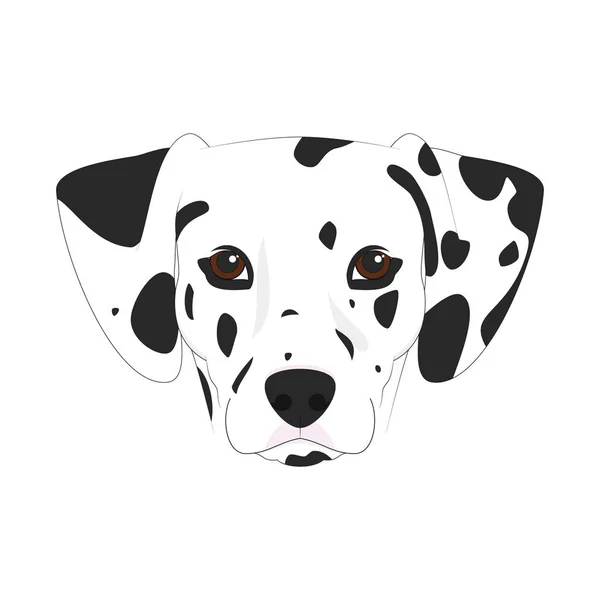 Dalmatiska dog isolerad på vit bakgrund vektorillustration — Stock vektor