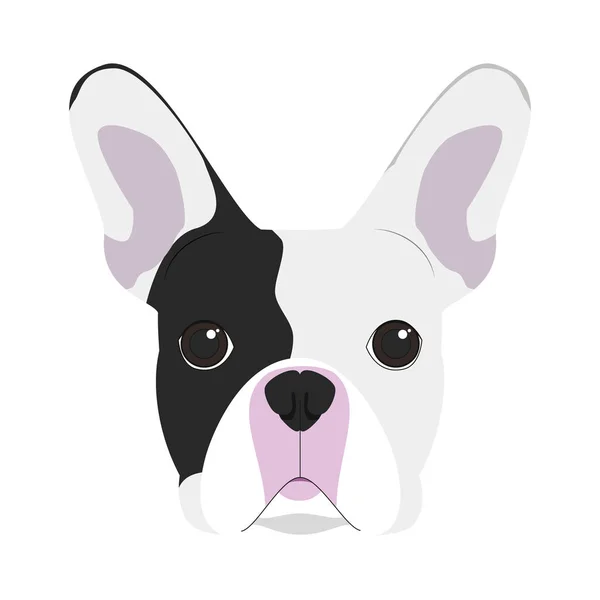 Franse Bulldog hond geïsoleerd op een witte achtergrond vectorillustratie — Stockvector