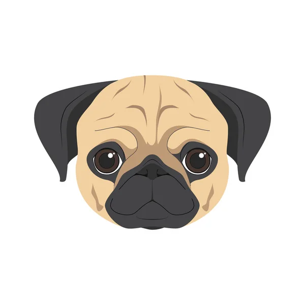 Pug cão isolado no fundo branco vetor ilustração —  Vetores de Stock