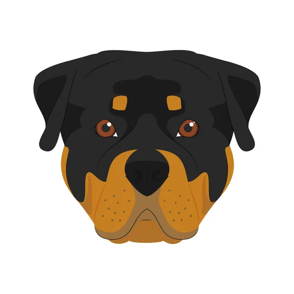 Rottweiler cane isolato su sfondo bianco vettoriale illustrazione — Vettoriale Stock