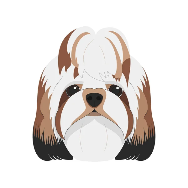 Shitzu perro aislado sobre fondo blanco vector ilustración — Vector de stock