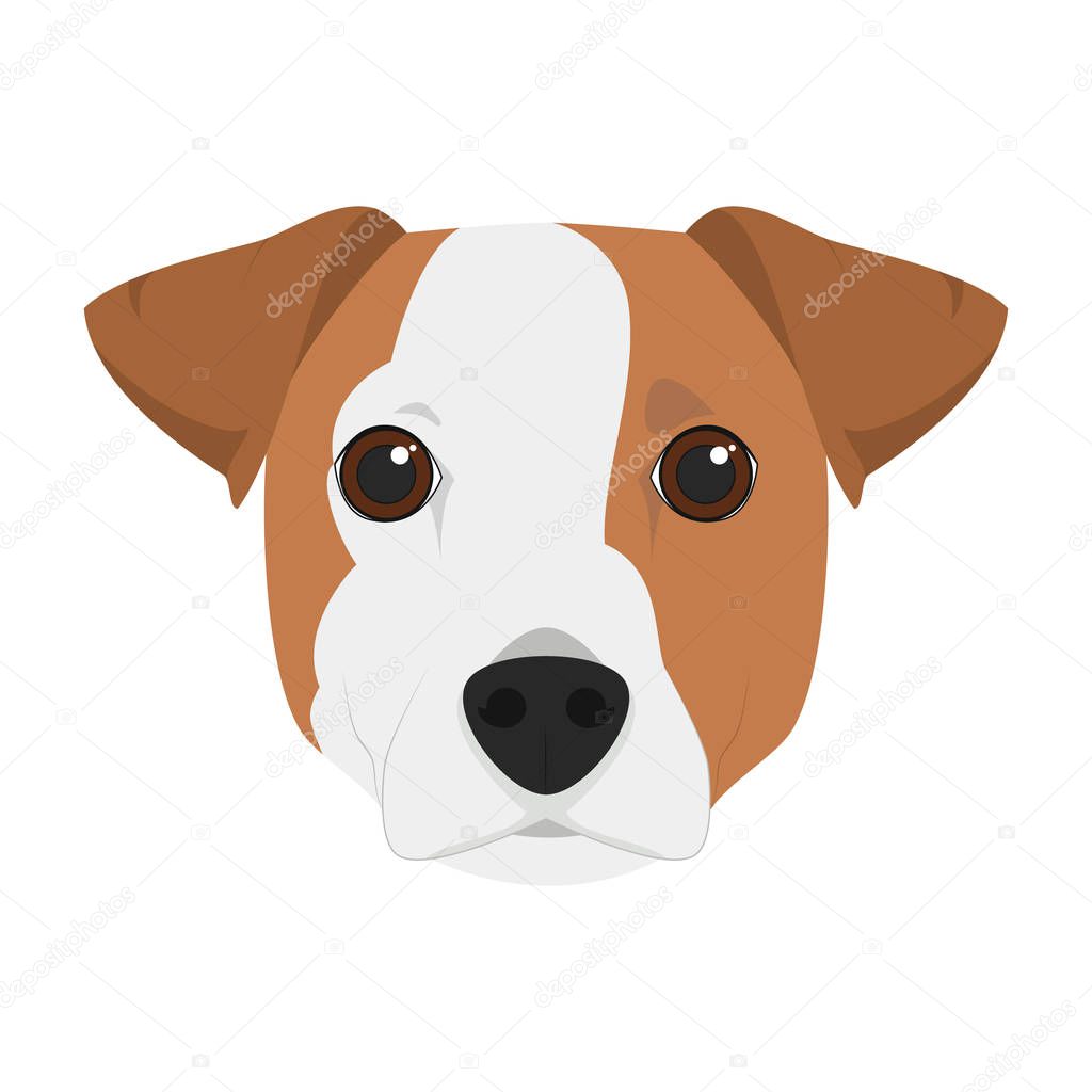 Jack Russell dog isolated on white background vector illustration