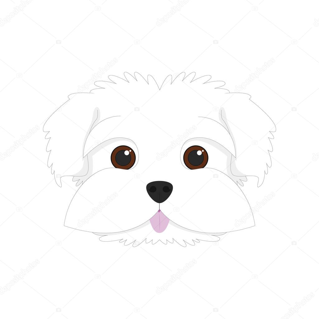 Maltese dog isolated on white background vector illustration