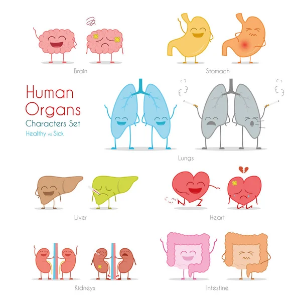 Set of healthy and sick human organs in cartoon style. — Stock Vector