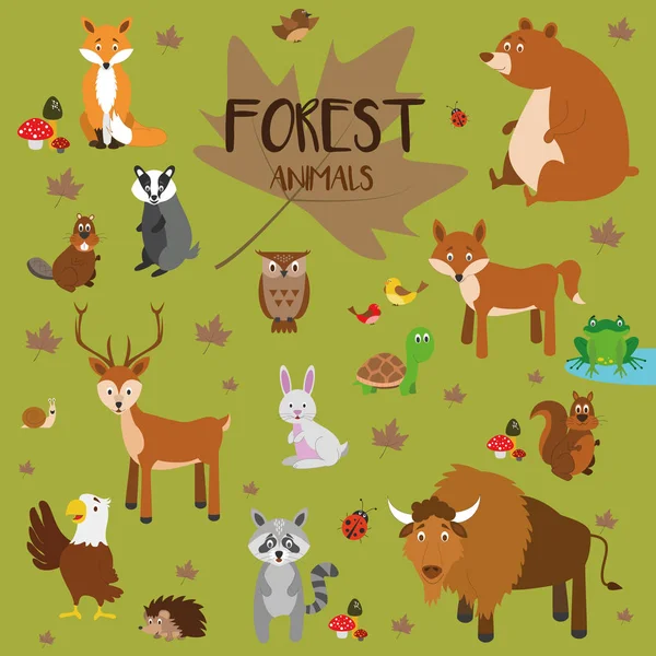 Ensemble d'illustrations vectorielles d'animaux forestiers . — Image vectorielle