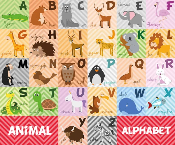 Lindo zoológico de dibujos animados ilustrado alfabeto con animales divertidos. Alfabeto inglés. Aprende a leer. Ilustración vectorial aislada . — Vector de stock