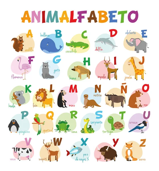 Bonito zoológico de desenhos animados alfabeto ilustrado com animais engraçados. Alfabeto espanhol. Aprende a ler. Isolado ilustração vetorial . —  Vetores de Stock