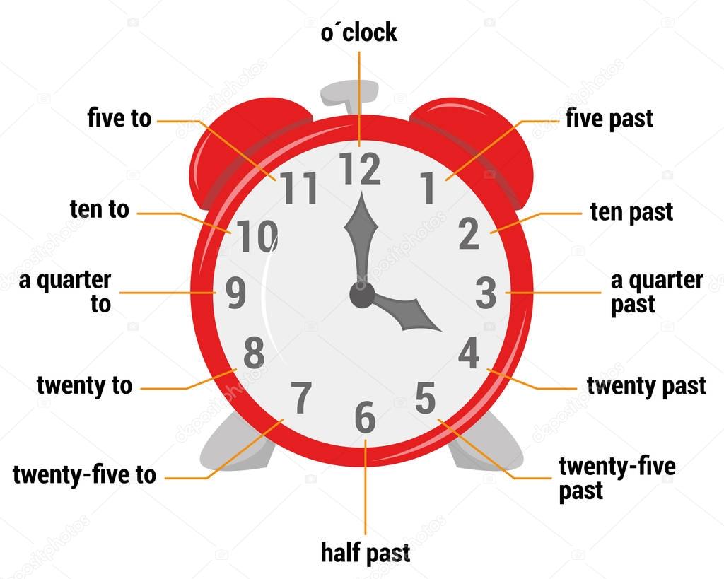 The time vocabulary Vector Illustration. Educational material for primary school students