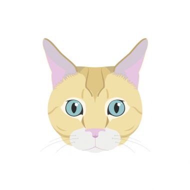 Beyaz arka plan vektör illüstrasyon izole Avrupa stenografi kedi