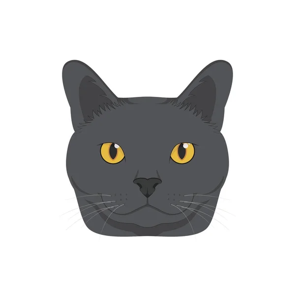Chartreux gato aislado en fondo blanco vector ilustración — Vector de stock