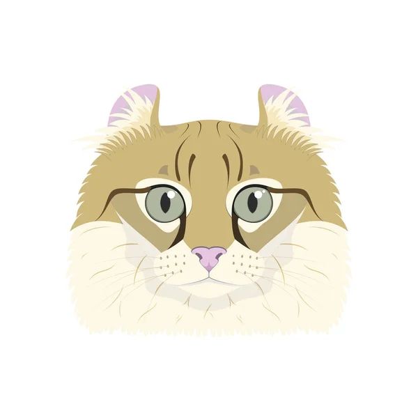 American Curl gato aislado sobre fondo blanco vector ilustración — Vector de stock