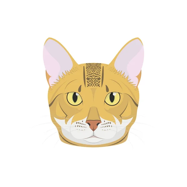 Gato de Bengala aislado sobre fondo blanco vector ilustración — Vector de stock