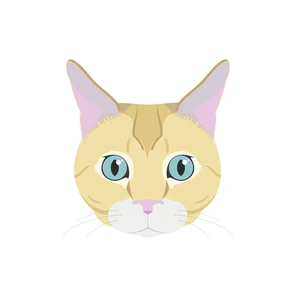 European Shorthair gato aislado sobre fondo blanco vector ilustración — Vector de stock