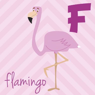 Sevimli çizgi resimli Hayvanat Bahçesi alfabesi ile komik hayvanlar: F Flamingo için. İngilizce alfabe. Okumayı öğren. İzole vektör çizim.