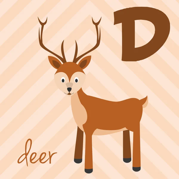 Jolie bande dessinée zoo illustré alphabet avec des animaux drôles : D pour cerf. Alphabet anglais. Apprends à lire. Illustration vectorielle isolée . — Image vectorielle