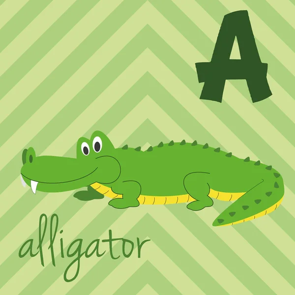 Niedlichen Zeichentrickzoo illustrierte Alphabet mit lustigen Tieren: ein für Alligator. Englisches Alphabet. Lesen lernen. isolierte Vektorabbildung. — Stockvektor