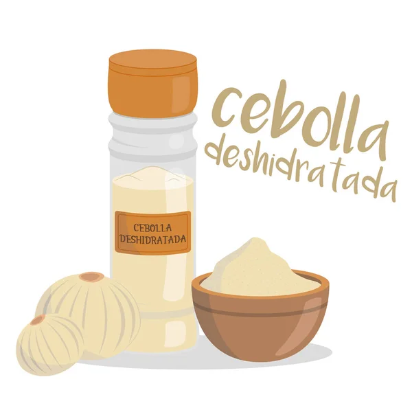 Ilustración Cebolla Deshidratada Vectorial Aislada Estilo Dibujos Animados Nombre Español — Vector de stock