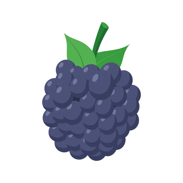 Vektor Ilustrasi Dari Blackberry Lucu Dalam Gaya Kartun - Stok Vektor
