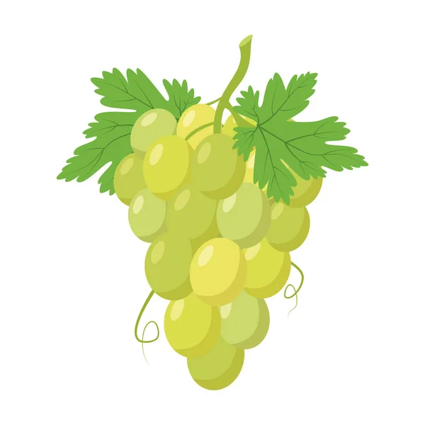 Vector Illustration Funny Bunch Green Grapes Cartoon Style — Stock Vector