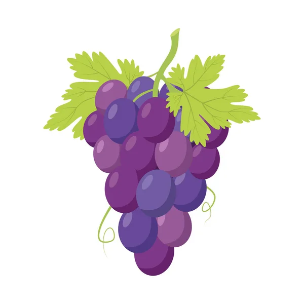 漫画風の紫色のブドウの面白い束のベクトルイラスト — ストックベクタ
