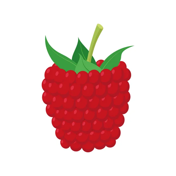 Vektor Ilustrasi Dari Raspberry Lucu Dalam Gaya Kartun - Stok Vektor