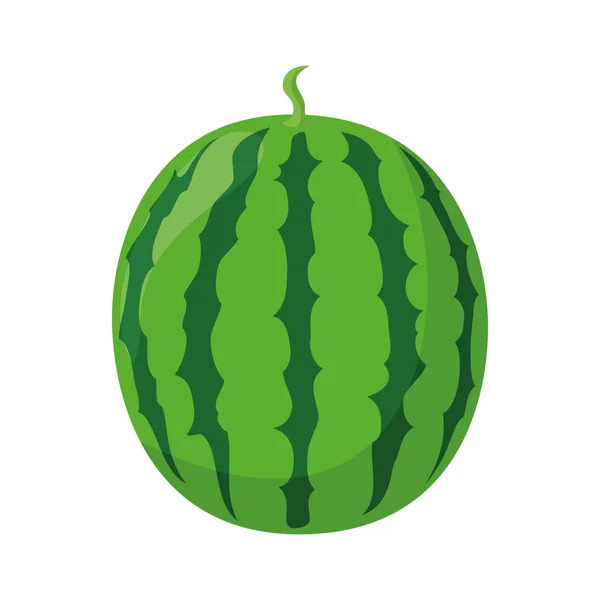 Vector Illustration Funny Watermelon Cartoon Style — Stock Vector