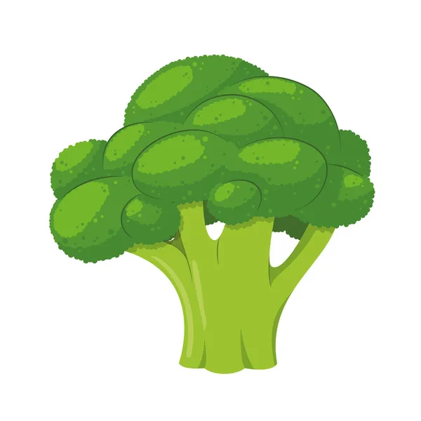 Vector Illustration Funny Broccoli Cartoon Style — Stock Vector