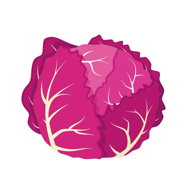 Vector Illustration Funny Purple Cabbage Cartoon Style — ストックベクタ