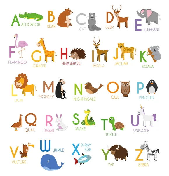 Bonito Zoológico Desenhos Animados Alfabeto Ilustrado Com Animais Engraçados Alfabeto —  Vetores de Stock