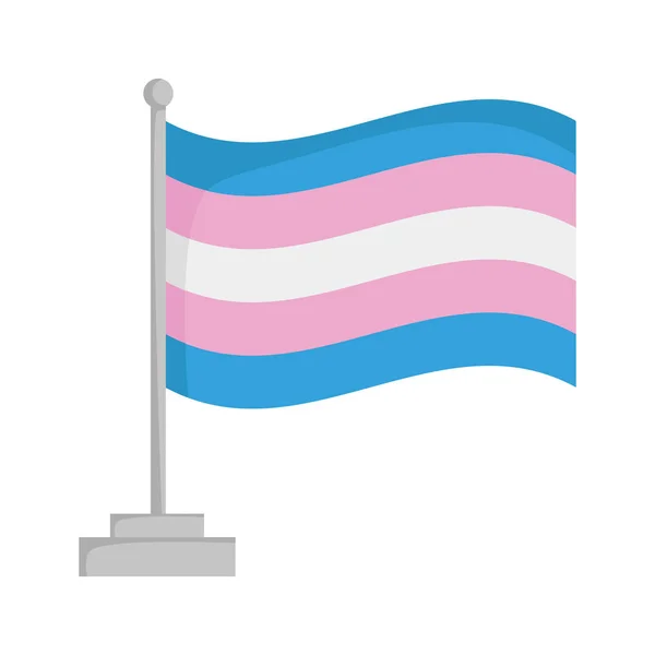 Флаг Трансгендерной Гордости Белом Фоне — стоковый вектор