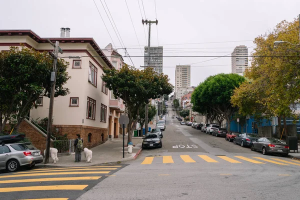 San Francisco Usa 2015 Szeptember Ember Kutyáival Sétál San Francisco — Stock Fotó