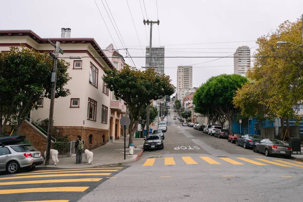 San Francisco, ABD - 30 Eylül 2015: San Francisco caddesinde köpekleriyle yürüyen adam.