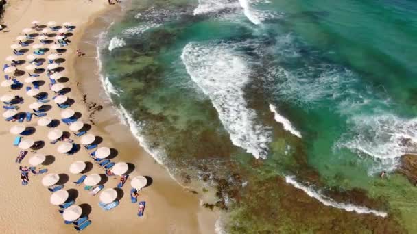 Пляж всемирно известный как парадиз серферов. Палубные стулья и зонтики. Туристы на пляже. Океан и волны. Вид сверху с воздуха. — стоковое видео