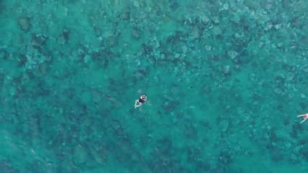 Mujer joven en traje de baño nadando en el mar de Andamán. Vista aérea superior . — Vídeo de stock