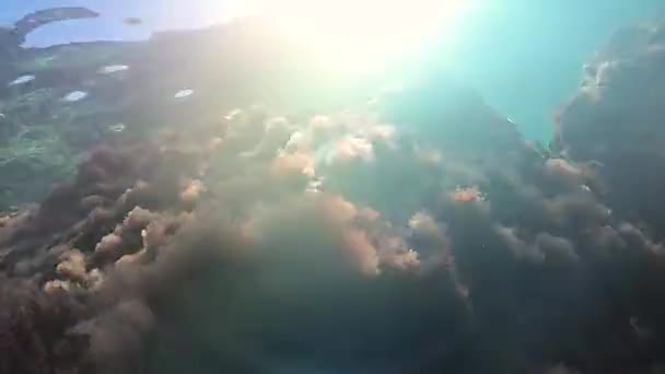 Sole splende raggi di sole raggi di sole e luce sott'acqua in movimento Nizza — Video Stock