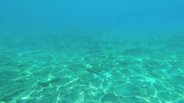 Unterwasserblick auf die brechende Welle des Ozeans — Stockvideo