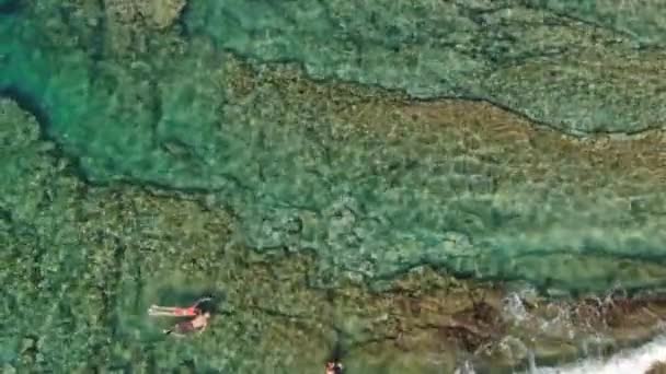 Люди, які плавають у чистій морській воді з собакою на пляжі, крутяться у повітрі — стокове відео