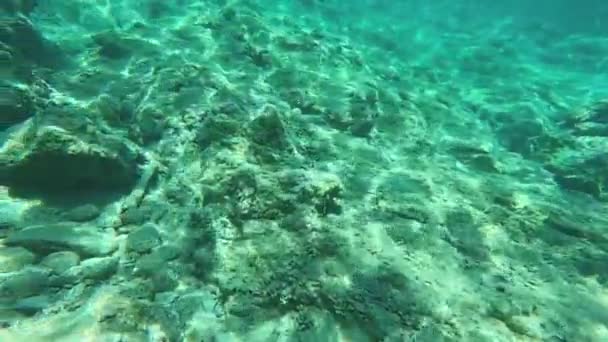 海浪破浪的水下景观 — 图库视频影像