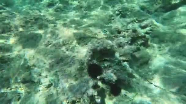 Underwater view of the breaking ocean wave — Stock Video