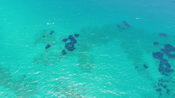 Augmenter le sable par les vagues de l'eau transparente devient boueux la vue 