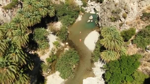 AÉRIEN : Belle oasis de verdure avec palmiers dans un canyon rocheux avec palmiers. Tir de drone .