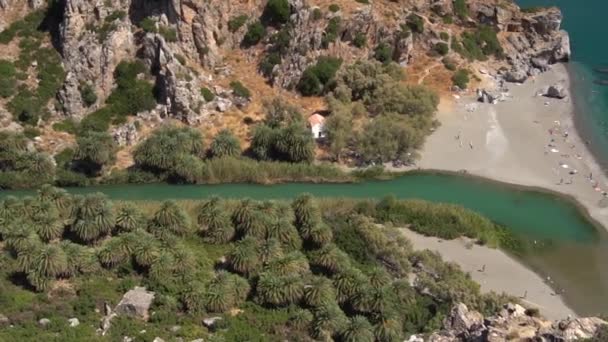 空中:岩の渓谷のヤシの木と美しい緑のオアシス — ストック動画
