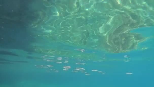 Swimming underwater in the sea. Actioncamerashot.Slowmotion. — Stock Video