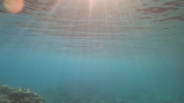 海の中で水中で泳ぐ。アクションカメラショット.スローモーション. — ストック動画