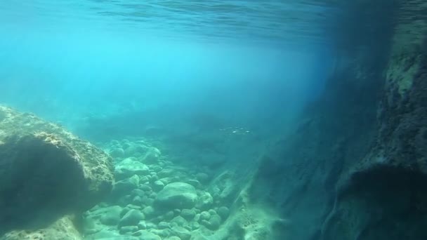 海の中で水中で泳ぐ。アクションカメラショット.スローモーション. — ストック動画