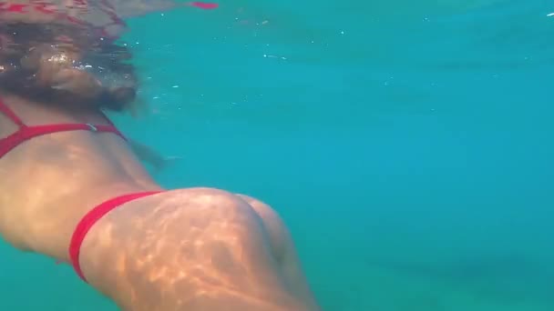 Taze Mavi Okyanusta Yüzen Güzel Kadın — Stok video