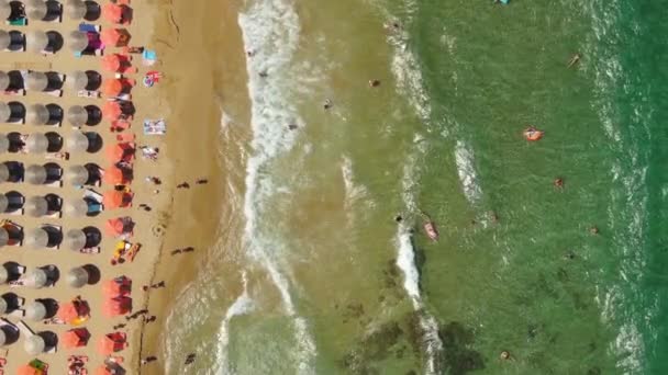 Top aerial view, flying above the sandy beach of Azure People are sunbathing on towels and playing in green water — Stock Video