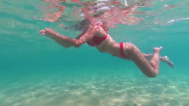 Belle femme nageant dans l'eau bleue immaculée de l'océan — Video