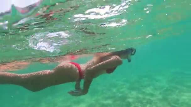 美丽的女人在清澈的蓝海中游泳 — 图库视频影像